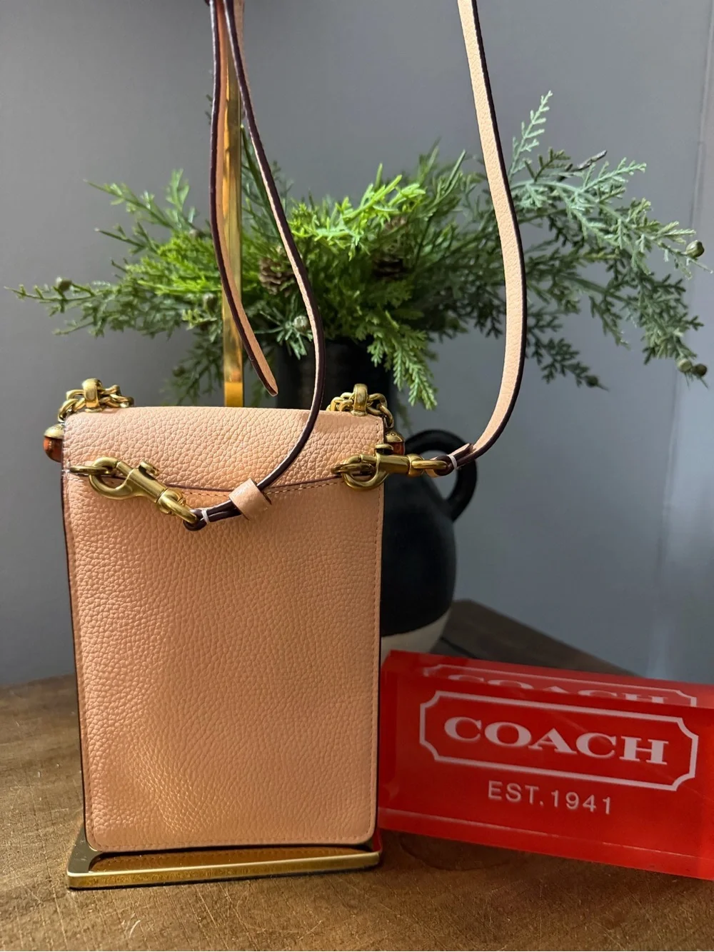 Coach Liv Crossbody Bag - Picture 2 of 14